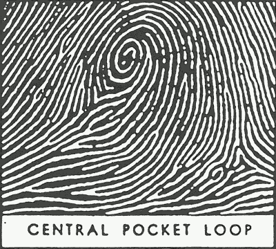 cc-4_img013